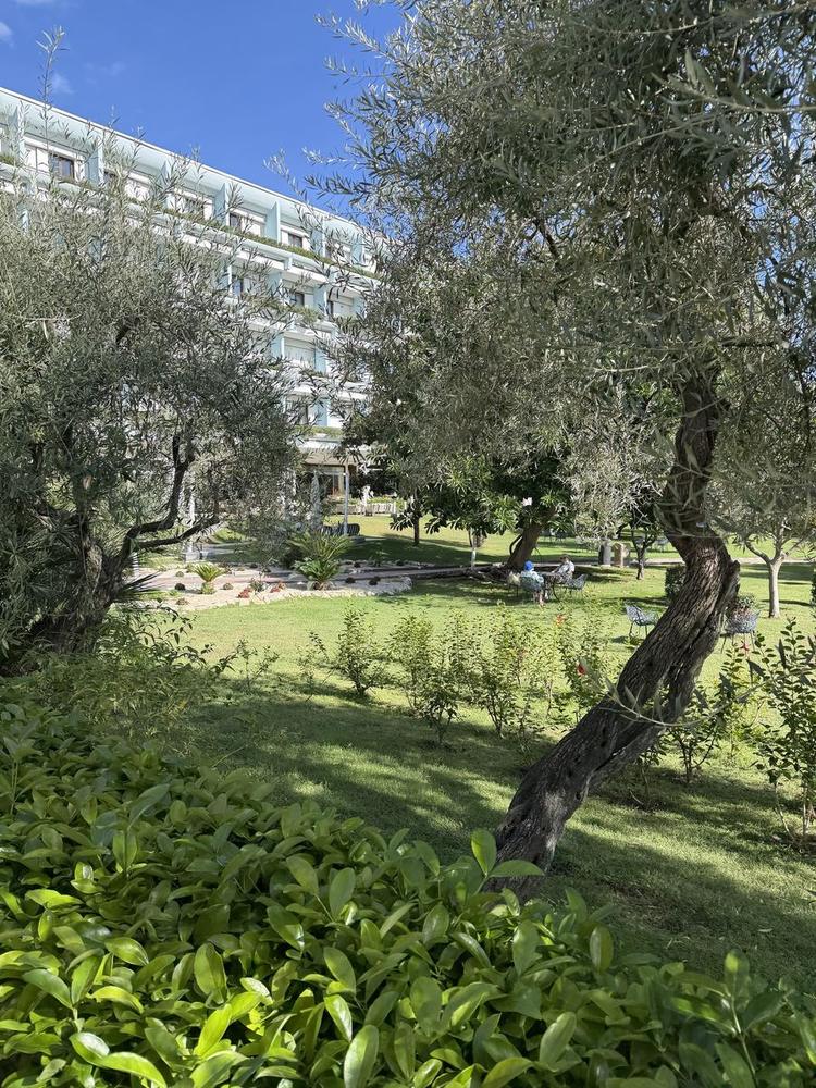 Il giardino con l