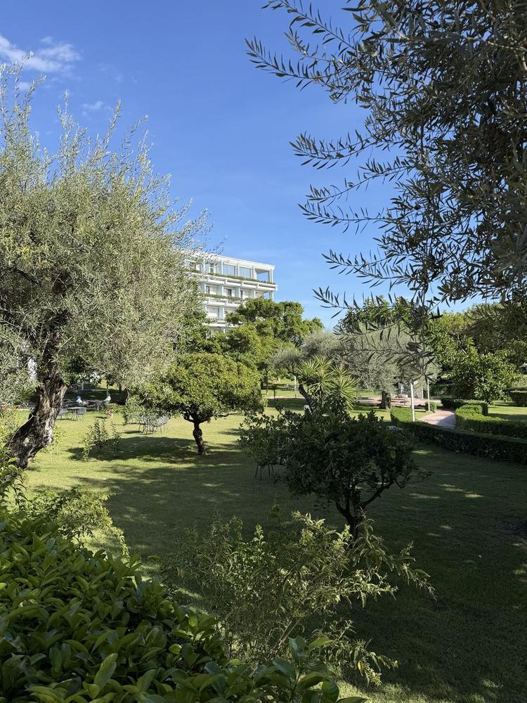 Il parco con gli ulivi della struttura che ha ospitato il Roadshow Net 2026 in Sicilia